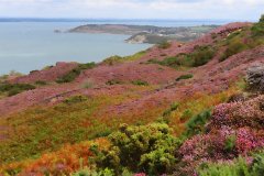 Isle of Wight  Isle of Wight Coastal Path : walk, hiking, coastal, path, isle, of, wight, cliff, sea, david, morris, dtmphotography, walking, hike, coast
